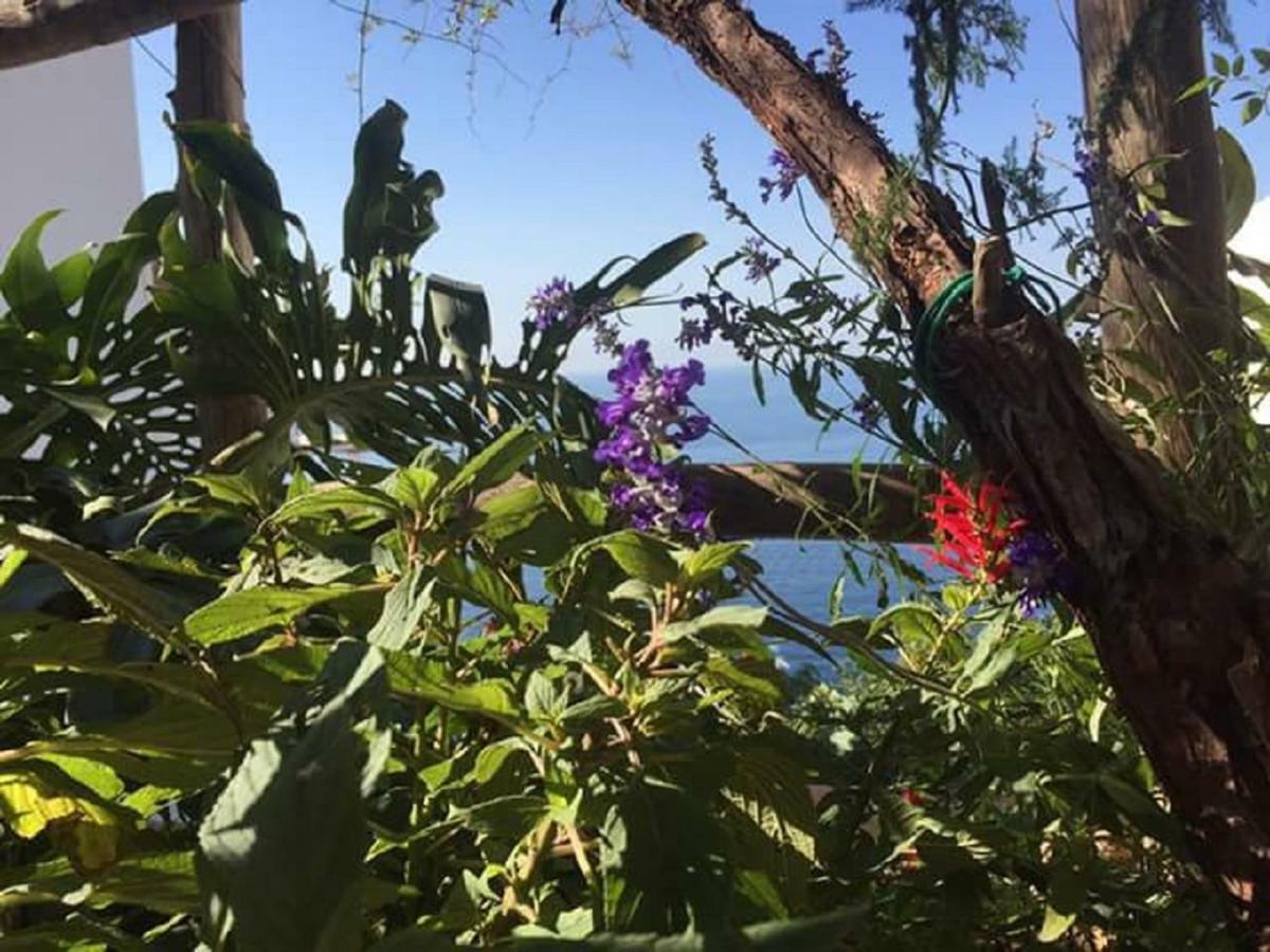 Casa Rosetta Villa Praiano Luaran gambar