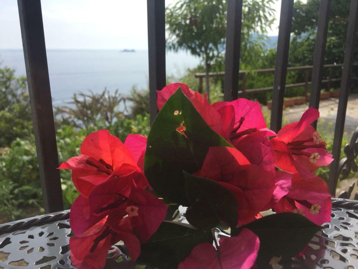 Casa Rosetta Villa Praiano Luaran gambar